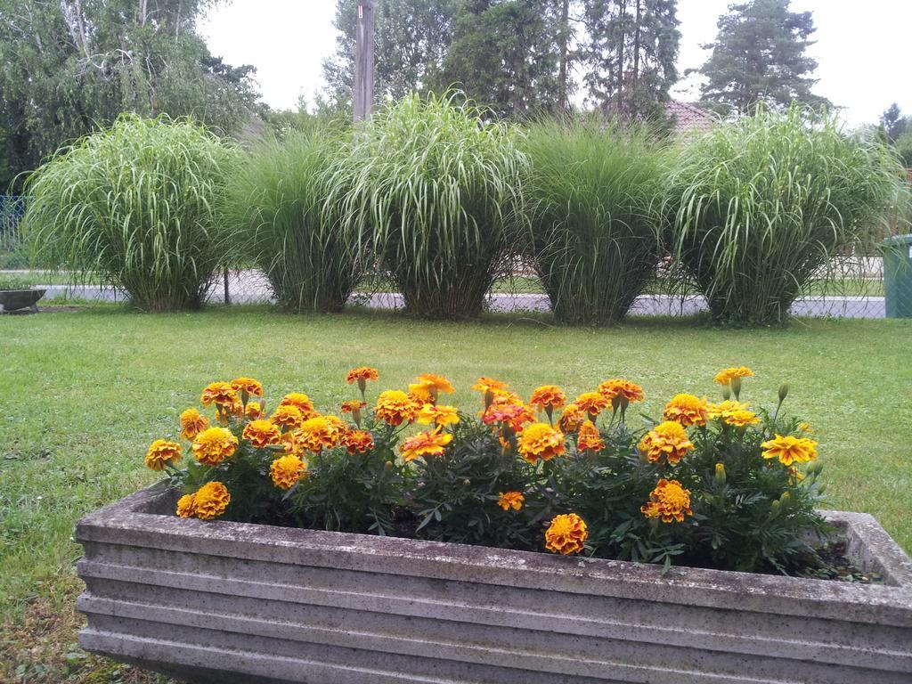 Hajas Familia Kiado Szobak Balatonmáriafürdő Exteriör bild